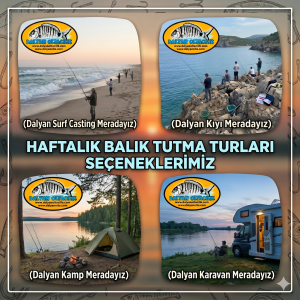 Doğa İçinde Balık, Kamp ve Mangal Keyfi